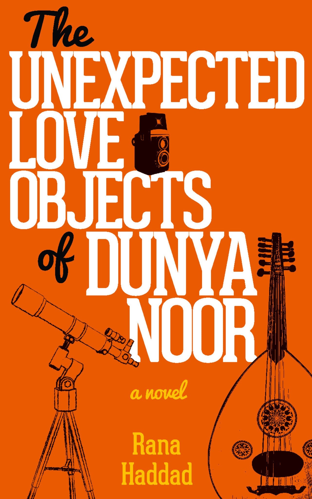 Cover image for The Unexpected Love Objects of Dunya Noor: ISBN 9781617978821